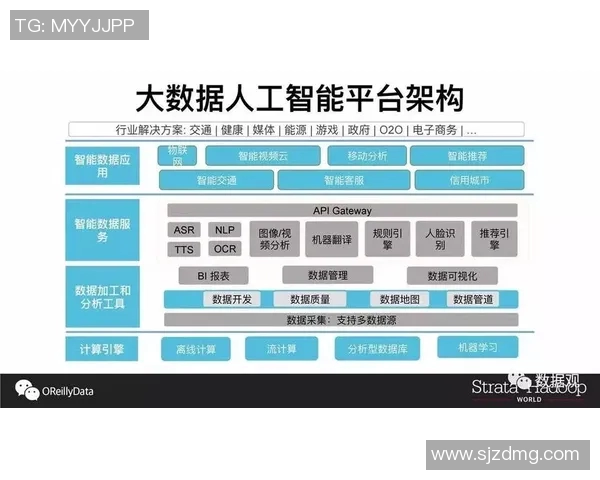 数据驱动的智能化变革探索：从大数据分析到人工智能应用的全景解析