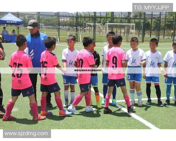 北京羽毛球队在世界杯预选赛中的心理素质分析与表现评估