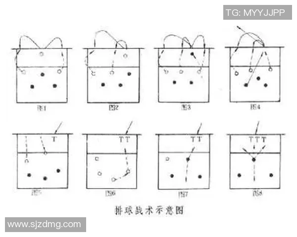 北京排球队中路突破战术解析与未来发展展望